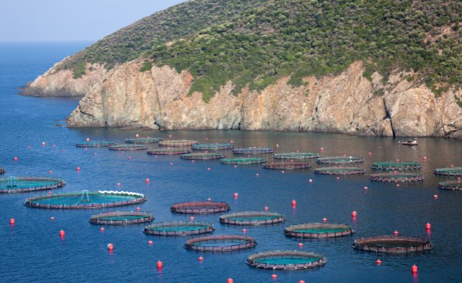 Phát triển thuỷ sản nuôi biển